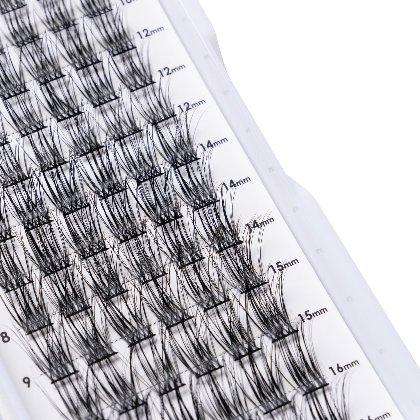 DIY Lash Kit