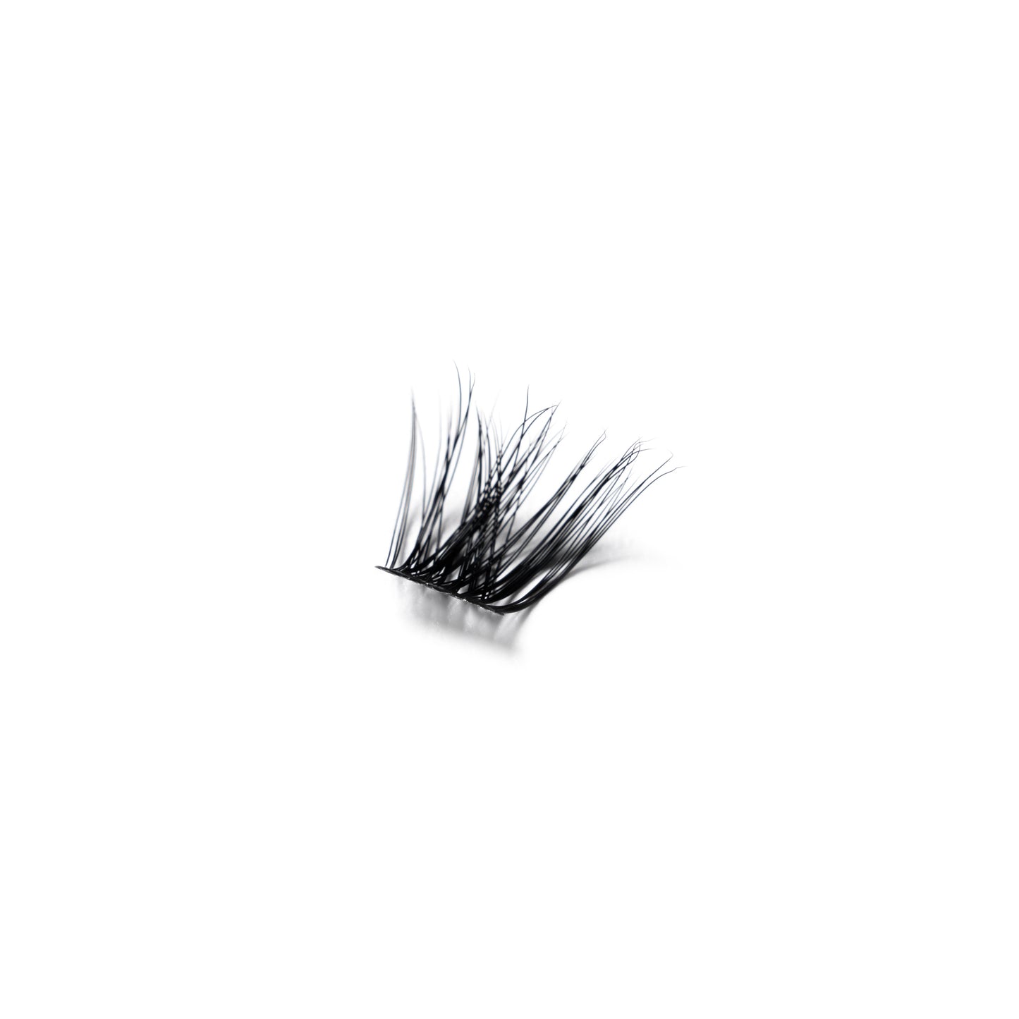 DIY Lash Kit