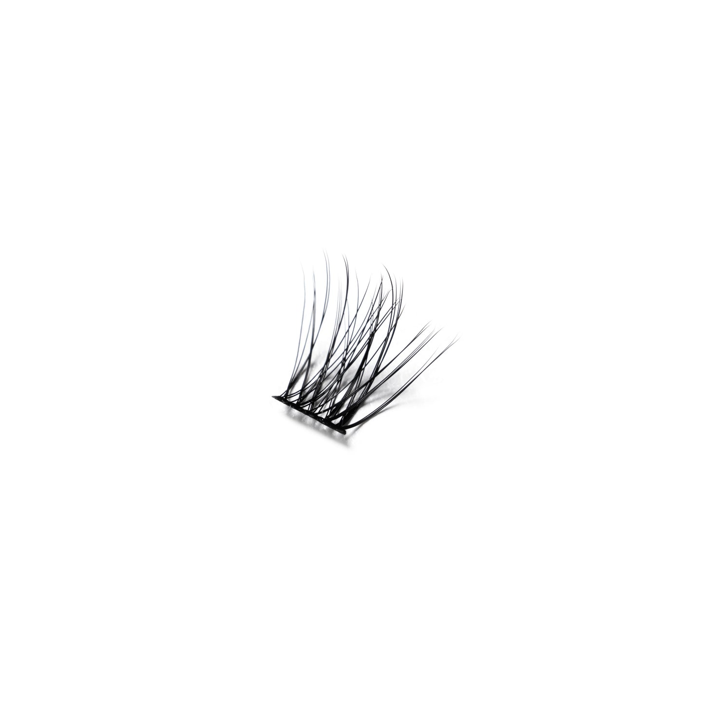 DIY Lash Kit